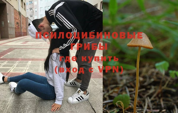 ПСИЛОЦИБИНОВЫЕ ГРИБЫ Бронницы