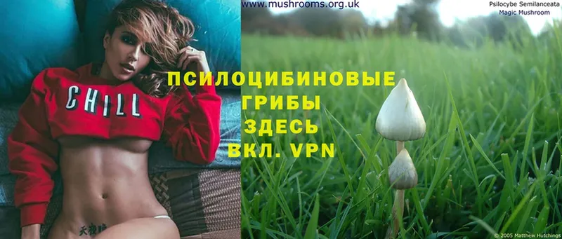 Псилоцибиновые грибы Magic Shrooms  Сатка 